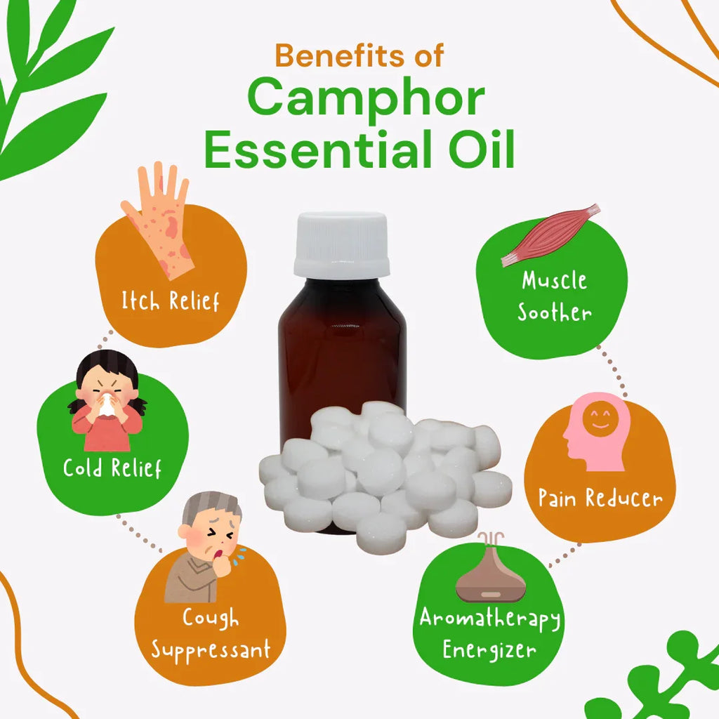 Camphor essential oil bottle with its benefits illustrated on a white background