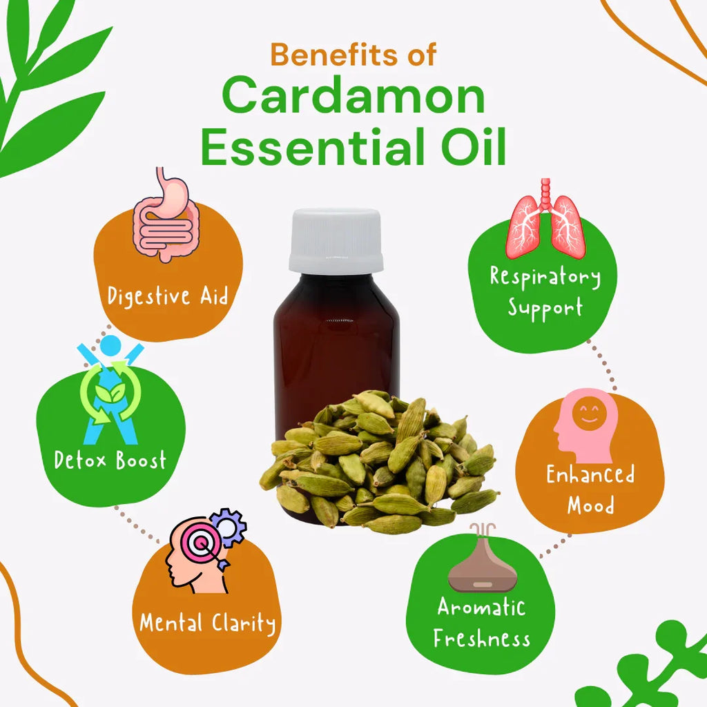 Cardamom essential oil with its benefits on a white background