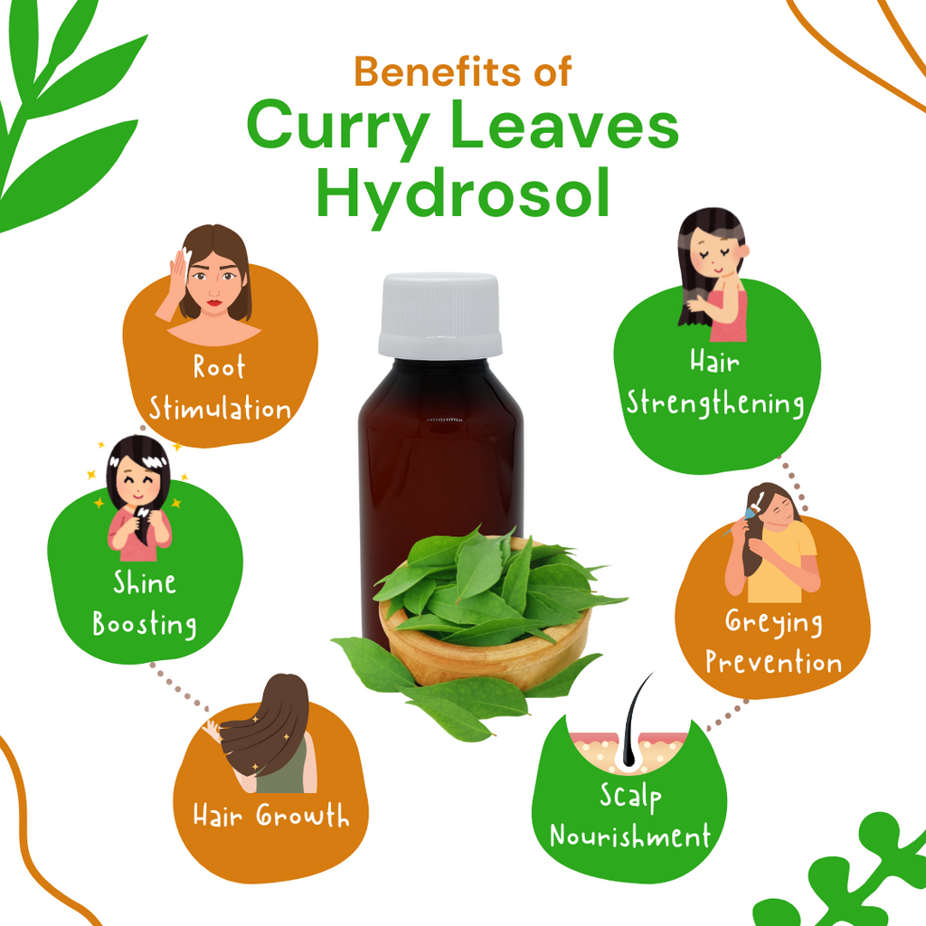 Curry leaves hydrosol benefits