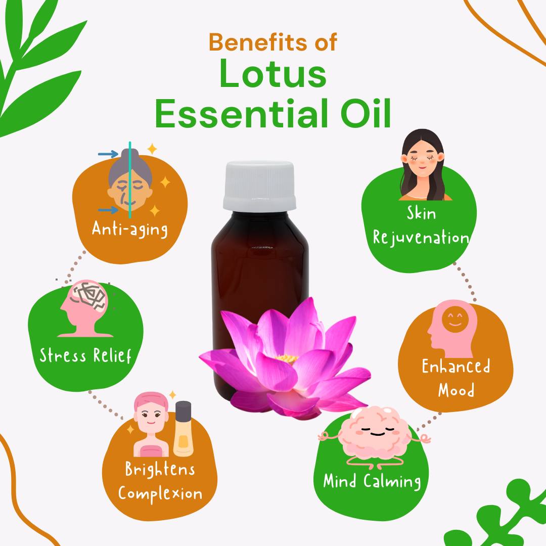 Lotus essential oil bottle with benefits listed on a white background