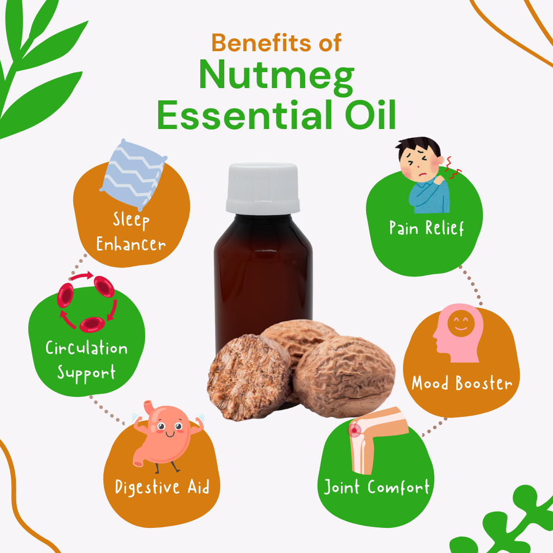 Nutmeg essential oil with benefits listed on a white background