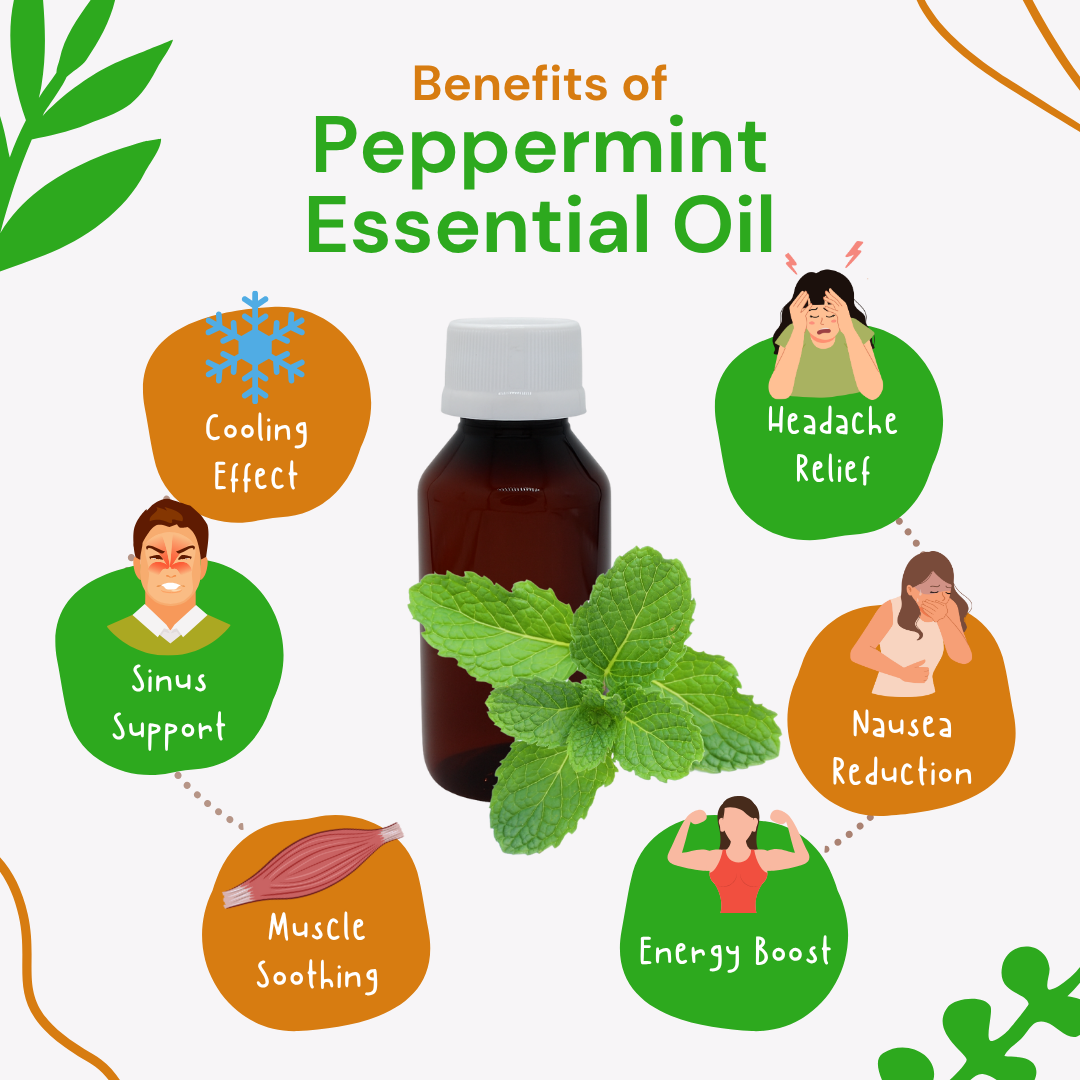 Peppermint essential oil bottle with its benefits on a white background
