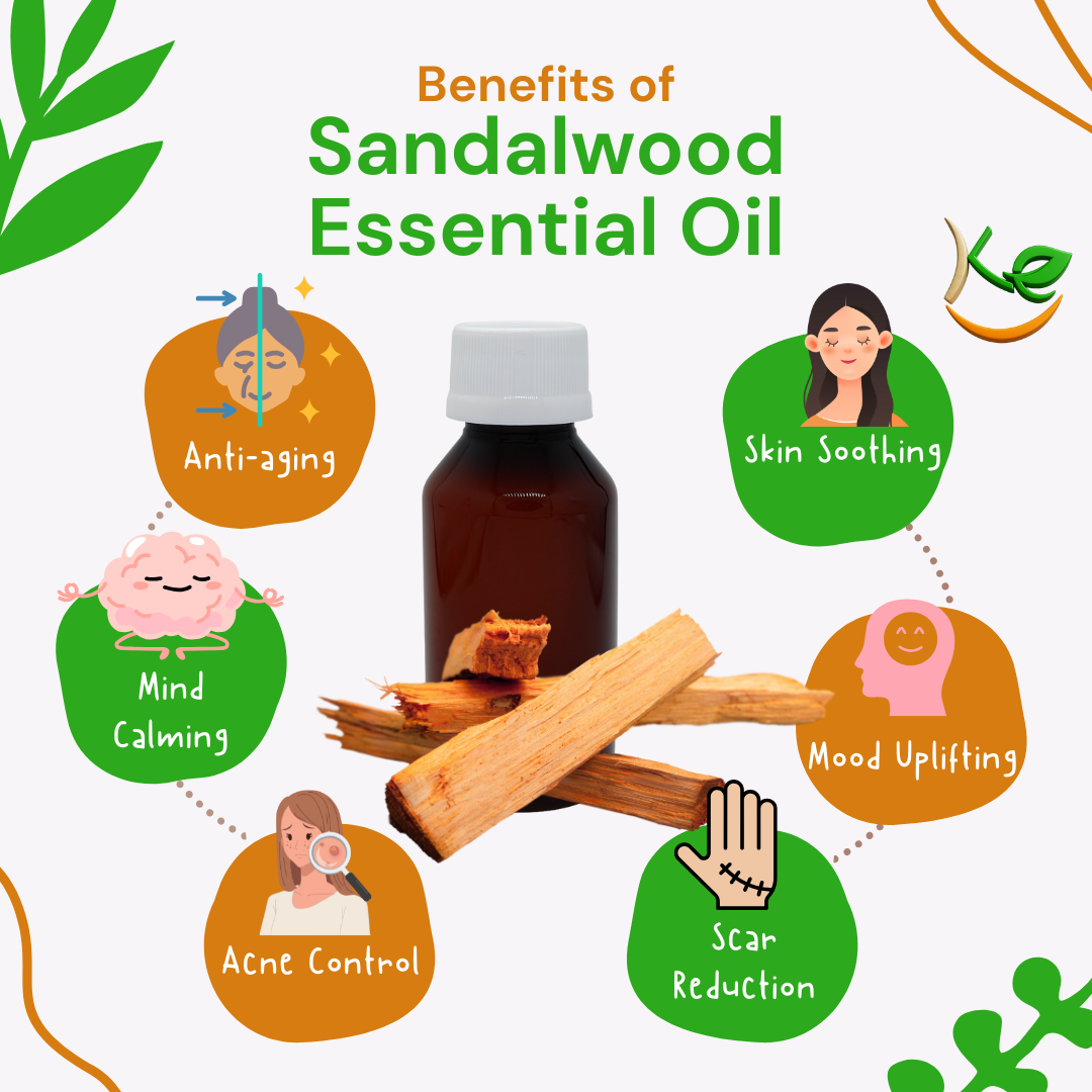 Sandalwood essential oil with its benefits on a white background