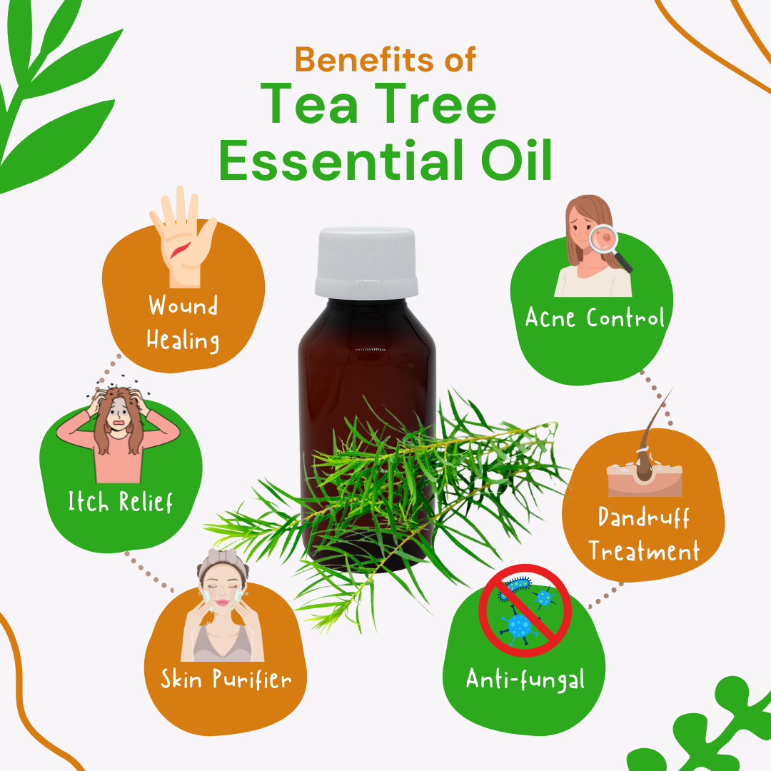 Tea tree essential oil with its benefits on a white background