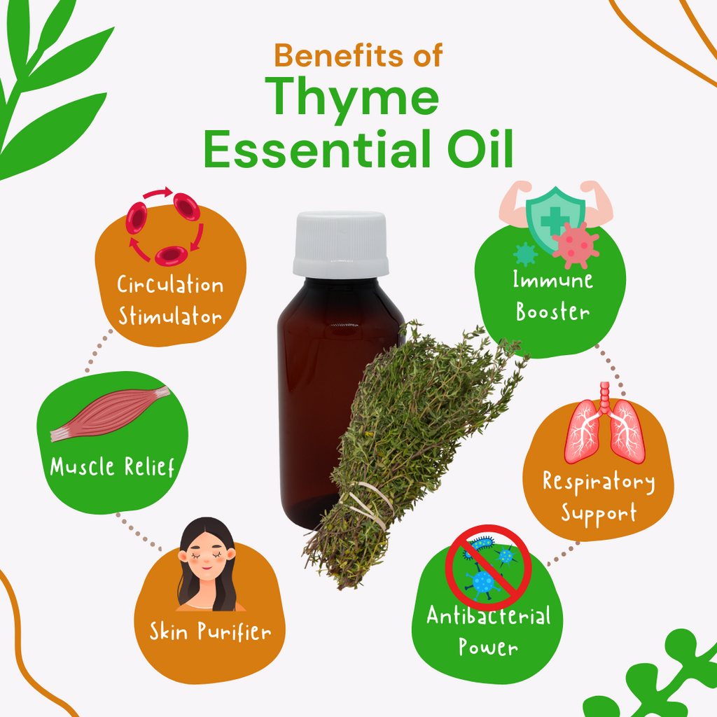 Thyme essential oil bottle with its benefits illustrated on a white background