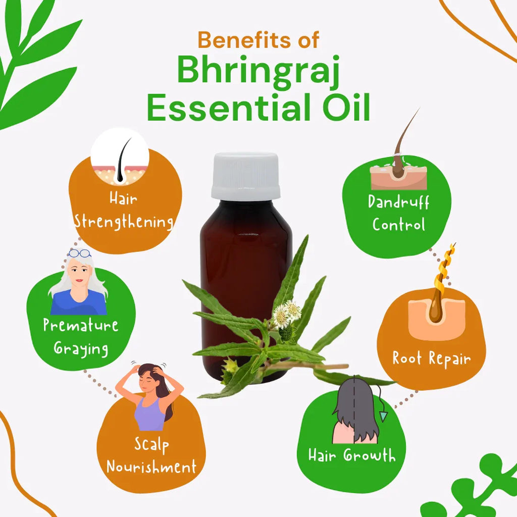 Bhringraj essential oil with benefits listed on a white background