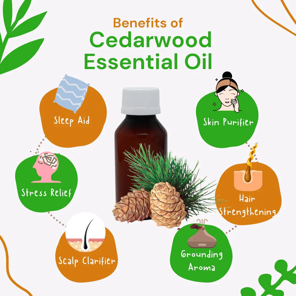 Cedarwood essential oil with its benefits on a white background