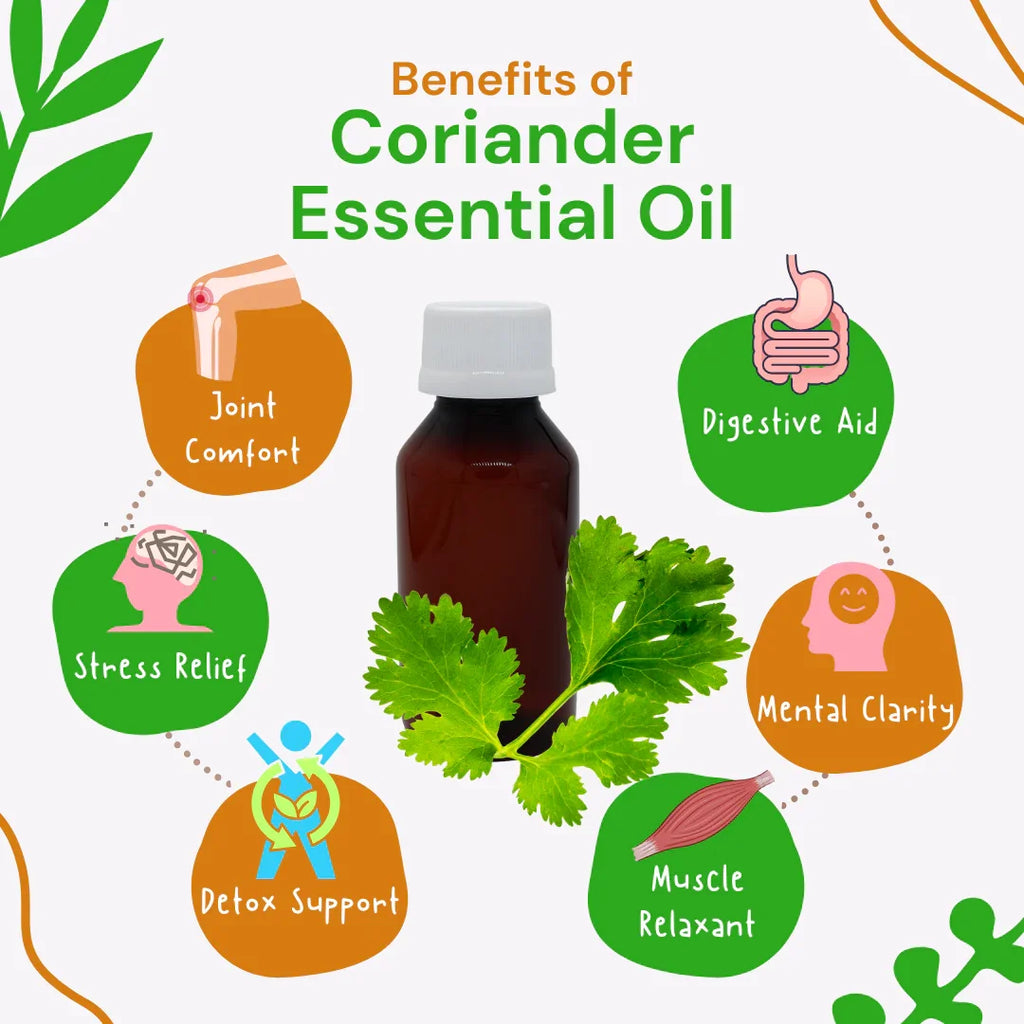 Coriander essential oil bottle with benefits listed on a white background