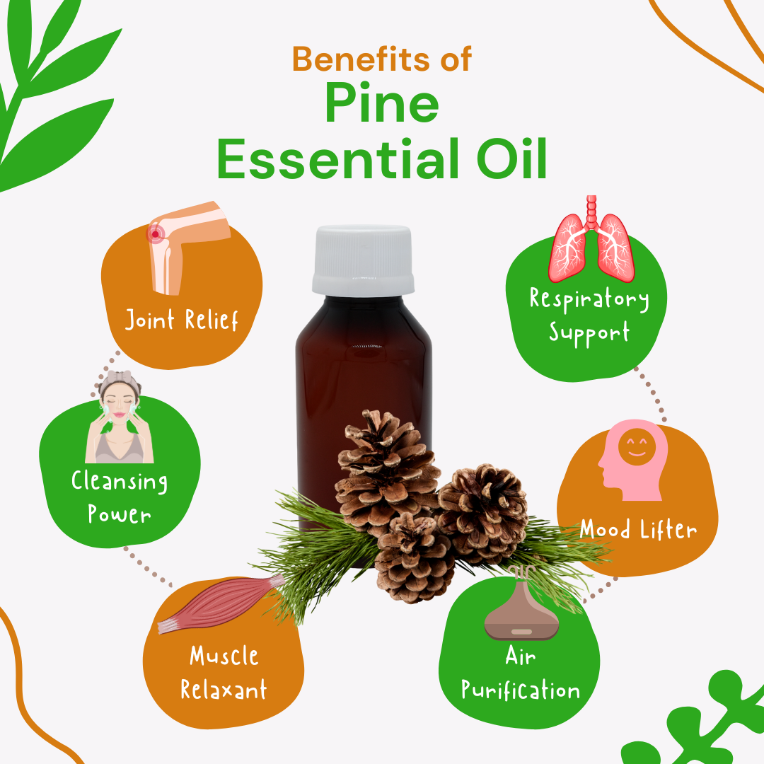 Pine essential oil bottle with pine cones and illustrated benefits on a white background