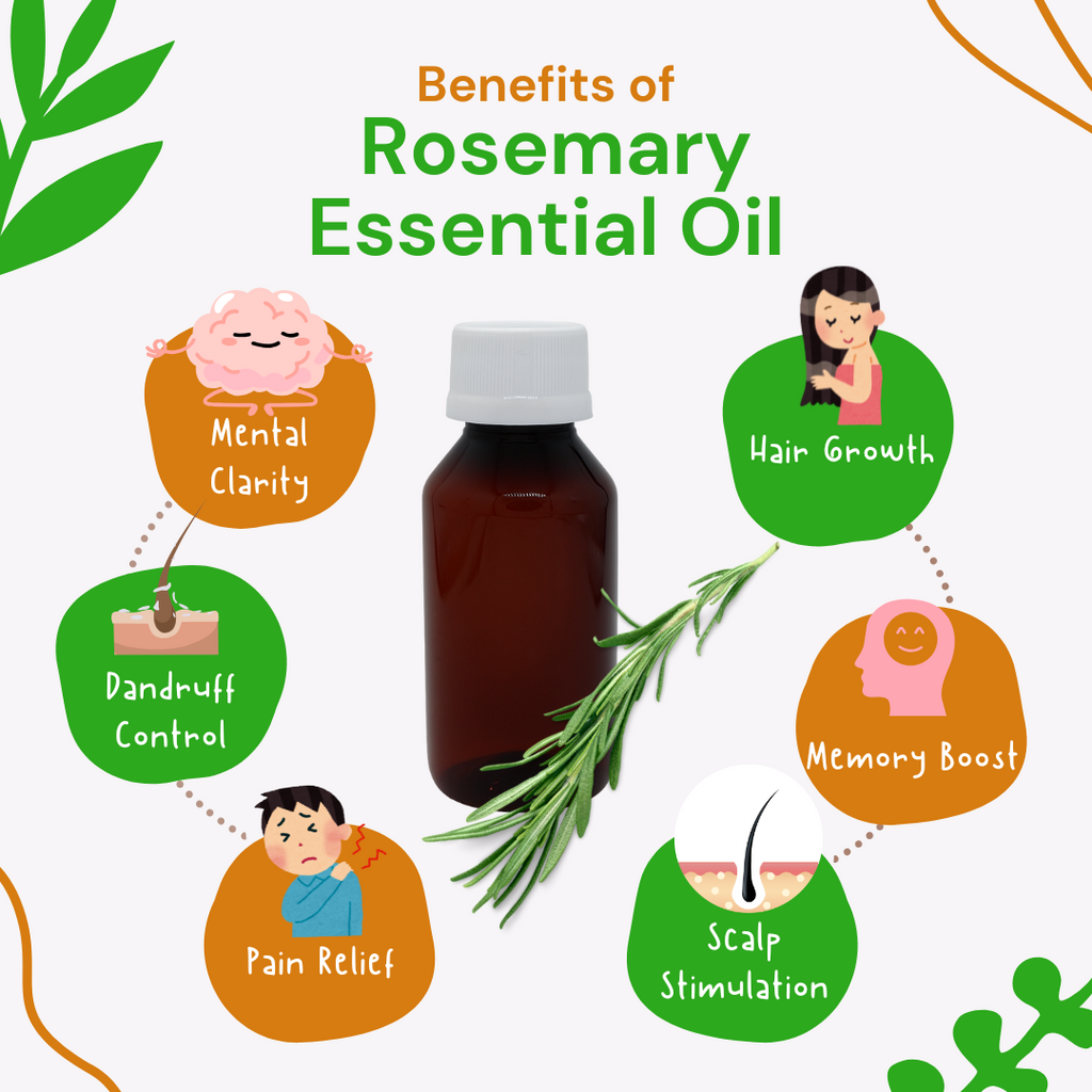 Rosemary essential oil bottle with illustrated benefits on a white background