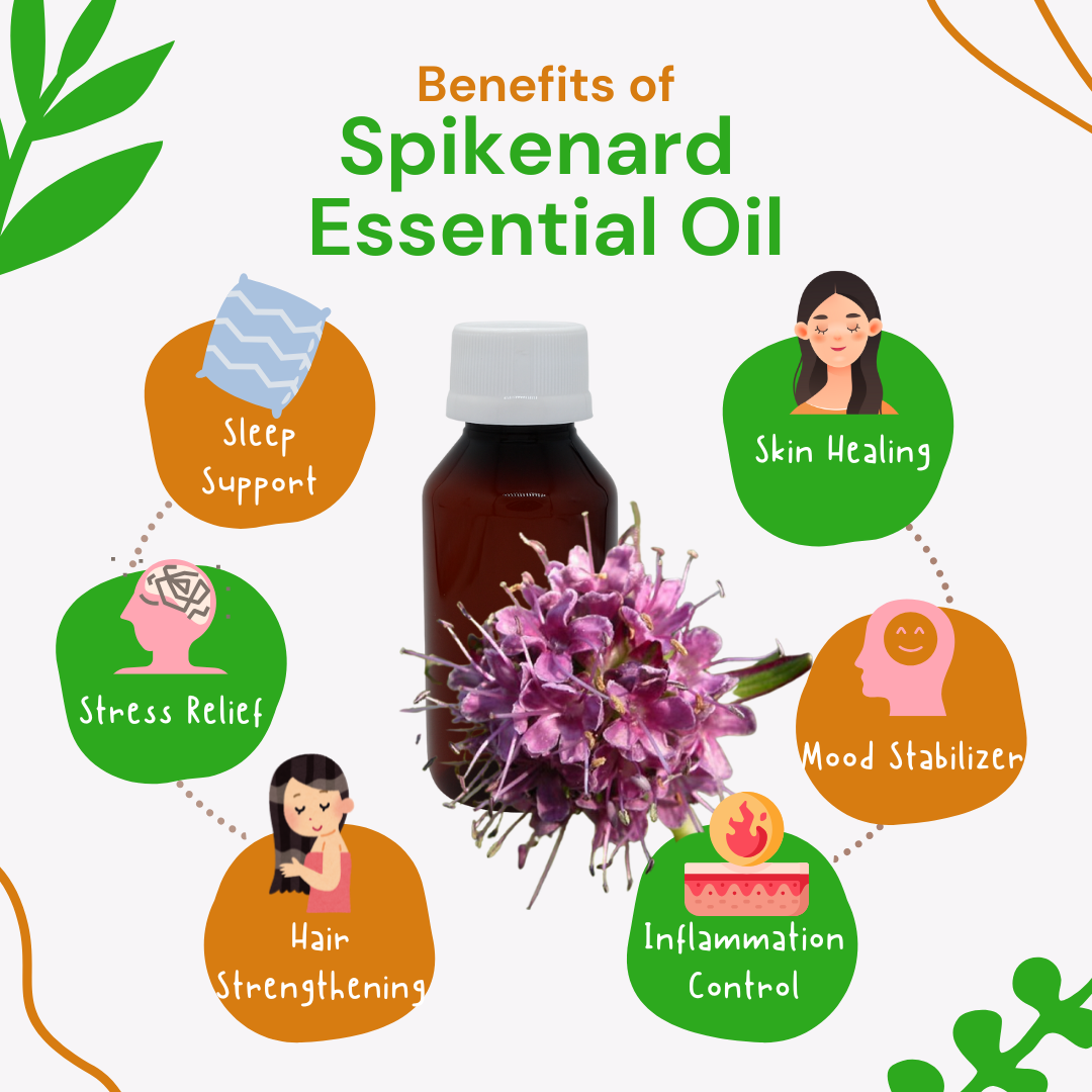 Spikenard essential oil with its benefits on a white background
