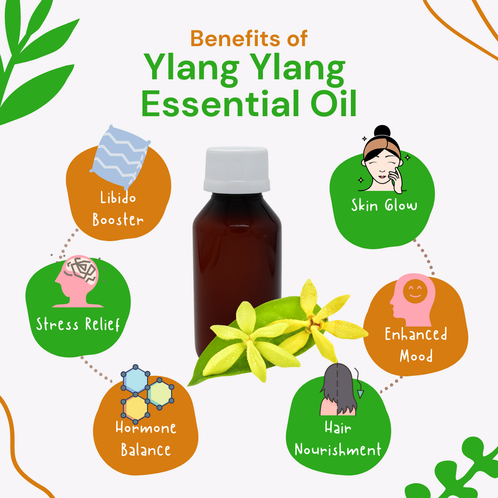 benefits of Ylang Ylang essential oil