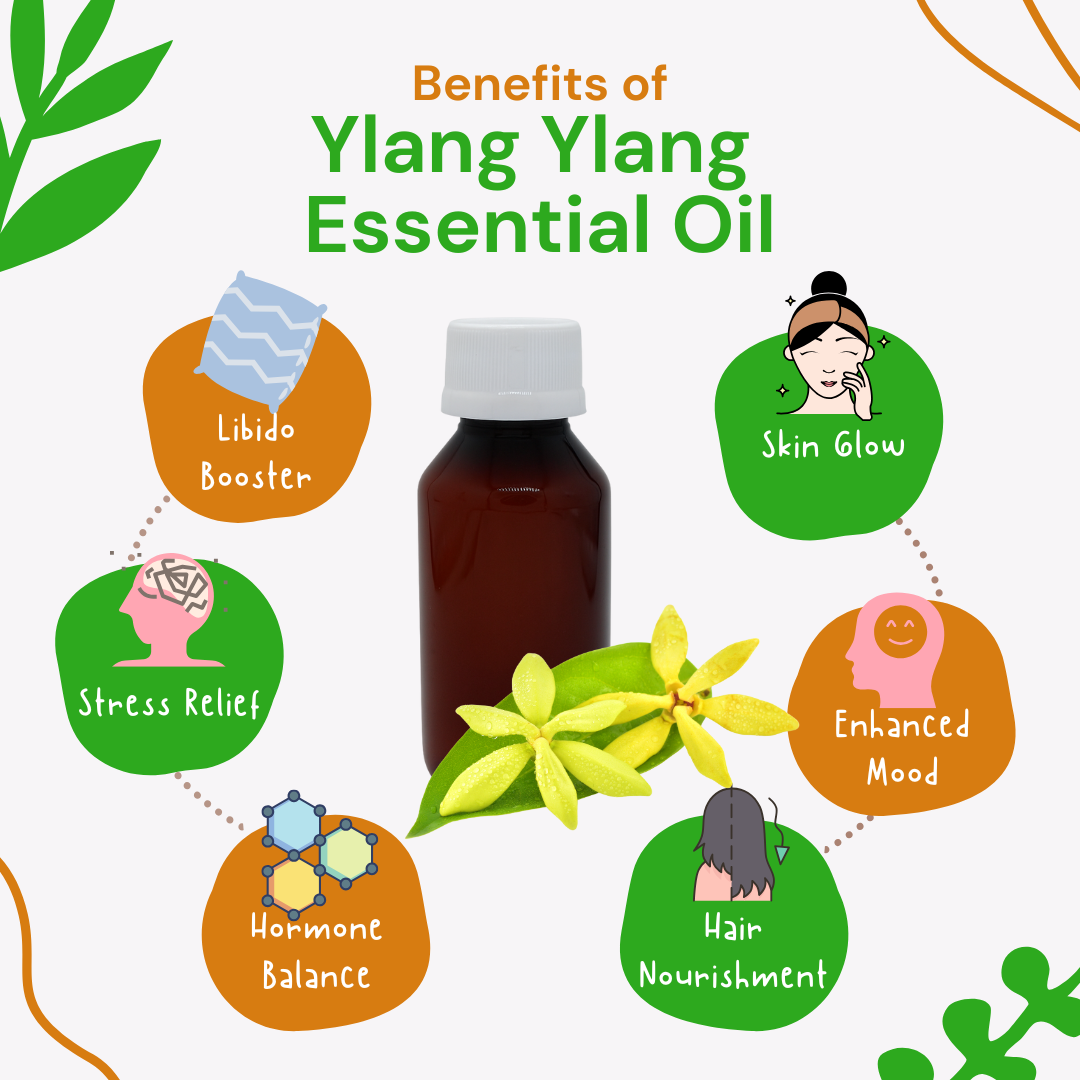 benefits of Ylang Ylang essential oil